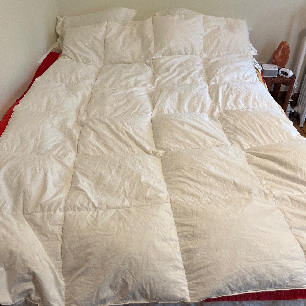 IKEA Honsbar duck down comforter Twin